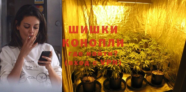 стафф Фёдоровский