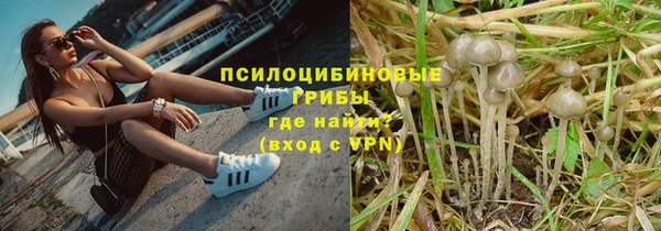 трава Медногорск